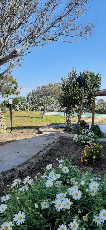 Biancareddu Lispusada Agriturismo Adults Only المظهر الخارجي الصورة