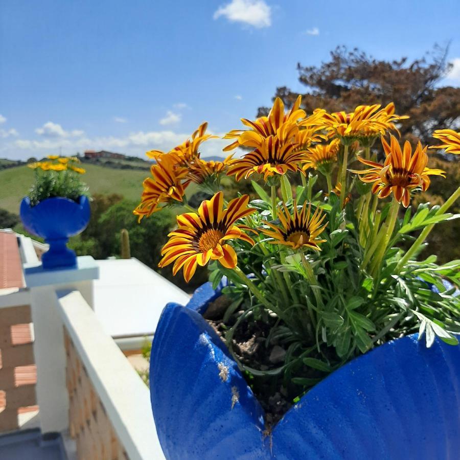 Biancareddu Lispusada Agriturismo Adults Only المظهر الخارجي الصورة