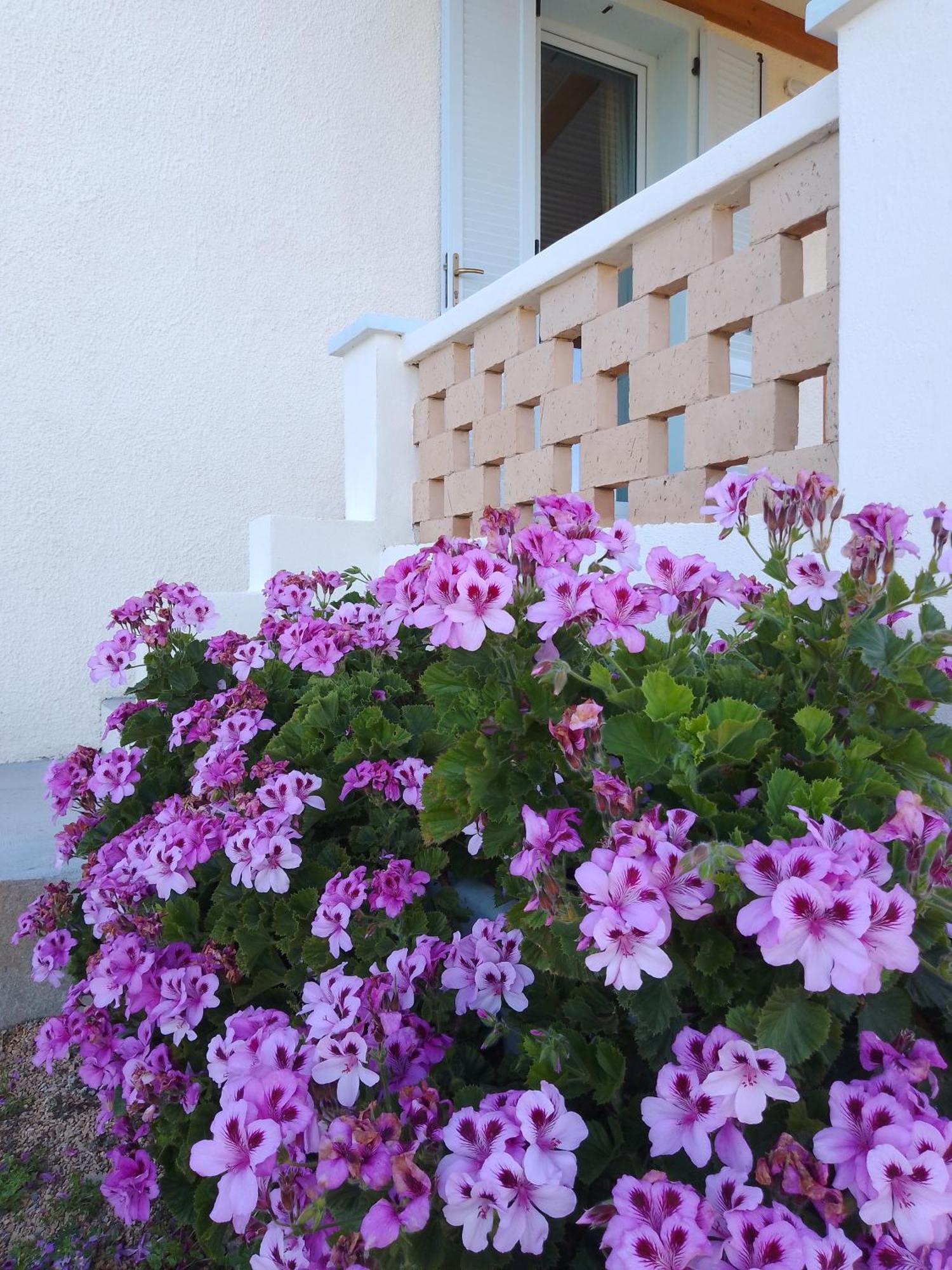 Biancareddu Lispusada Agriturismo Adults Only المظهر الخارجي الصورة