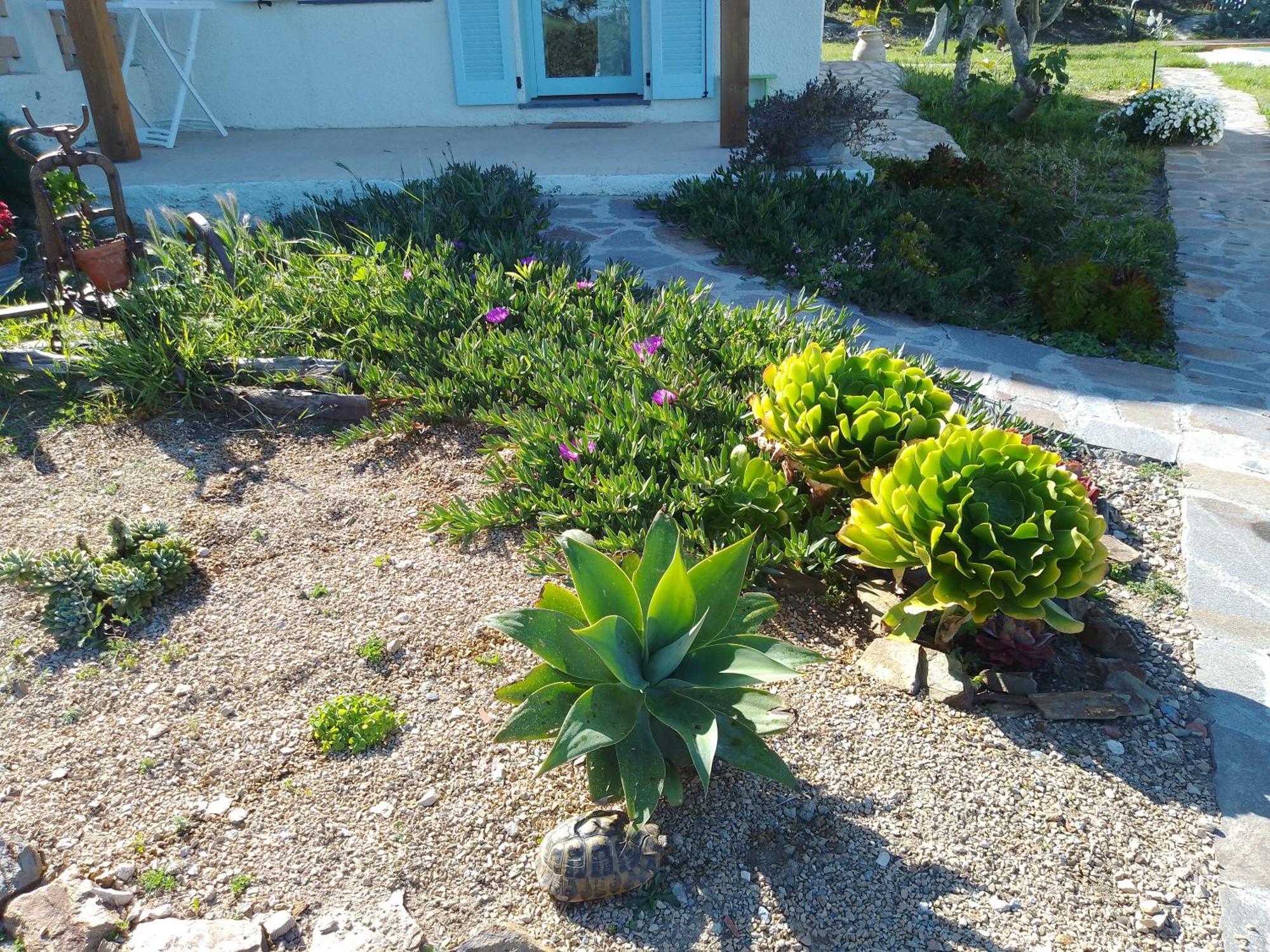 Biancareddu Lispusada Agriturismo Adults Only المظهر الخارجي الصورة