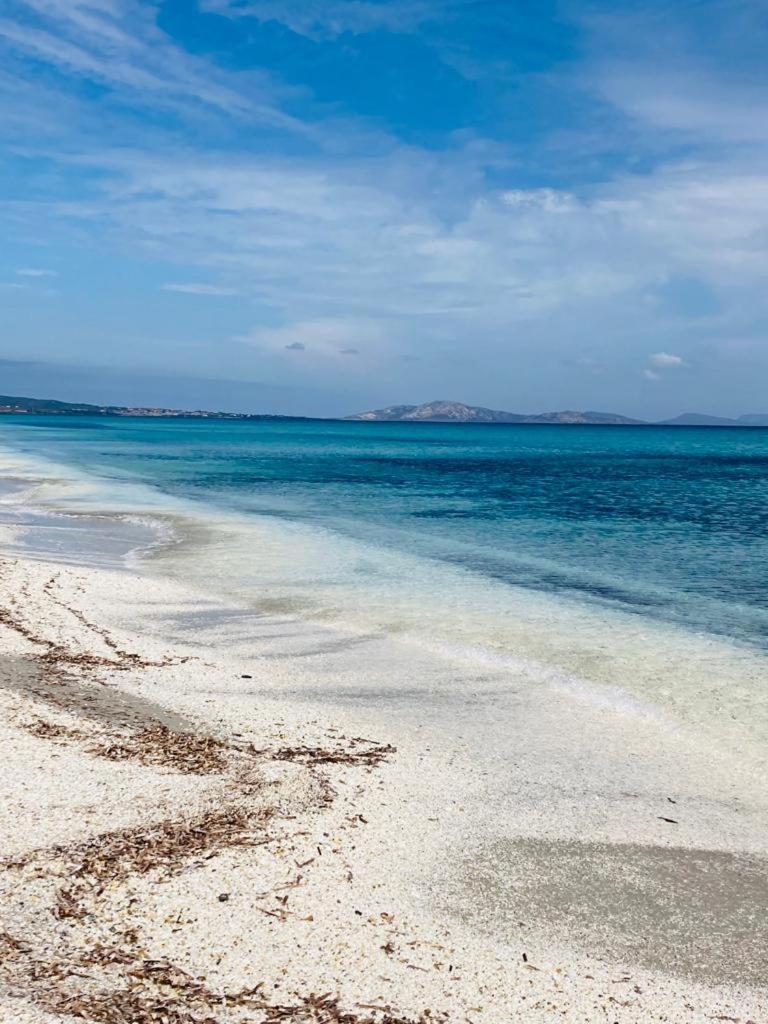 Biancareddu Lispusada Agriturismo Adults Only المظهر الخارجي الصورة