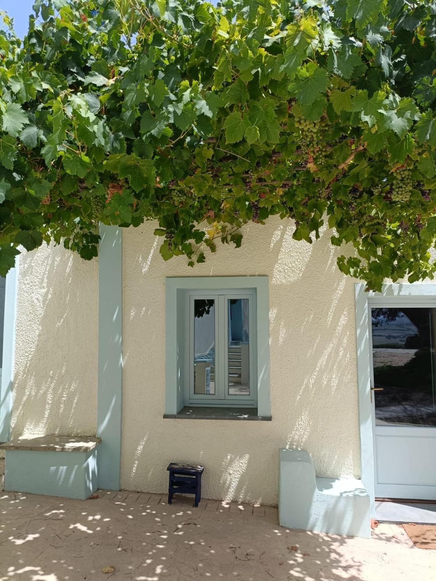 Biancareddu Lispusada Agriturismo Adults Only المظهر الخارجي الصورة