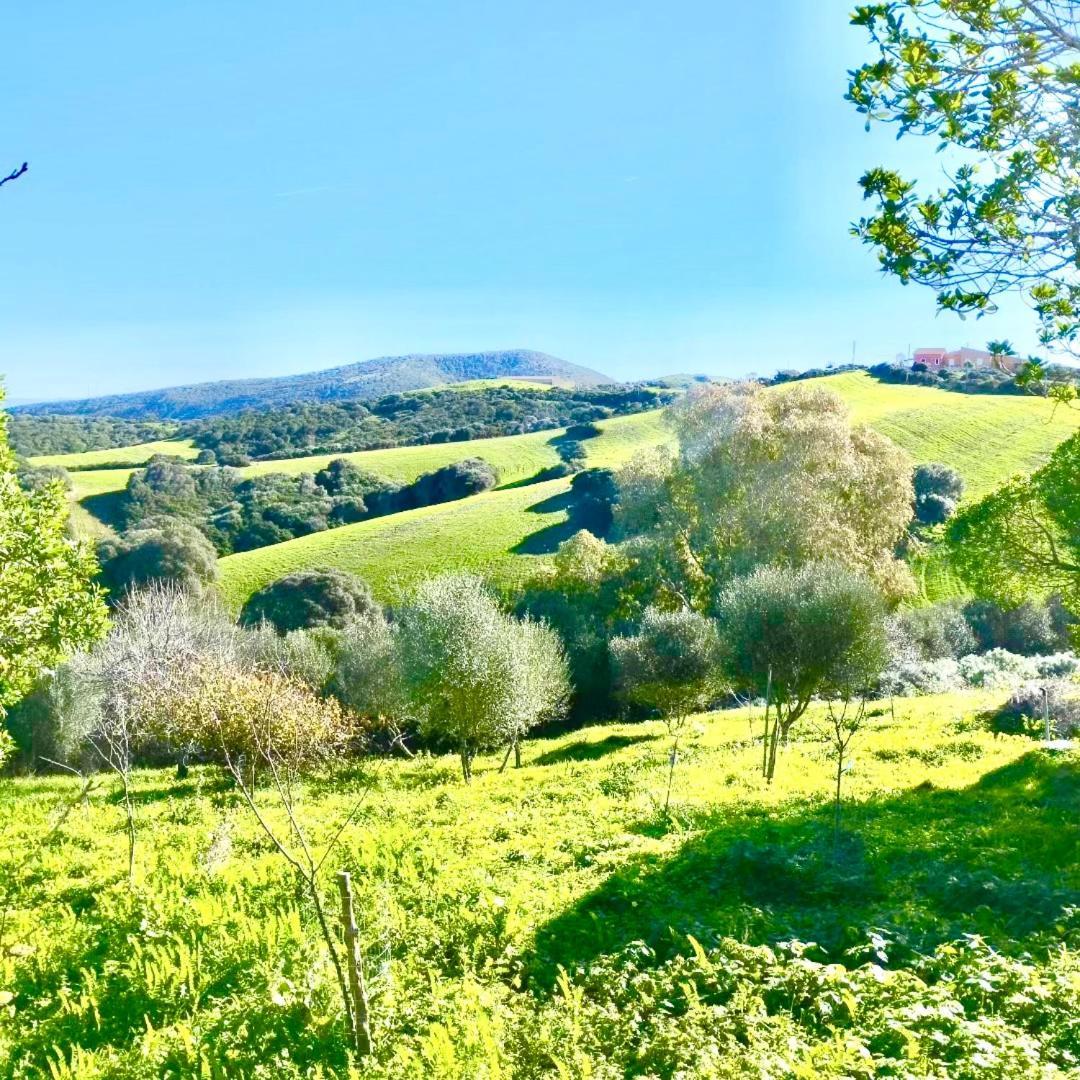 Biancareddu Lispusada Agriturismo Adults Only المظهر الخارجي الصورة